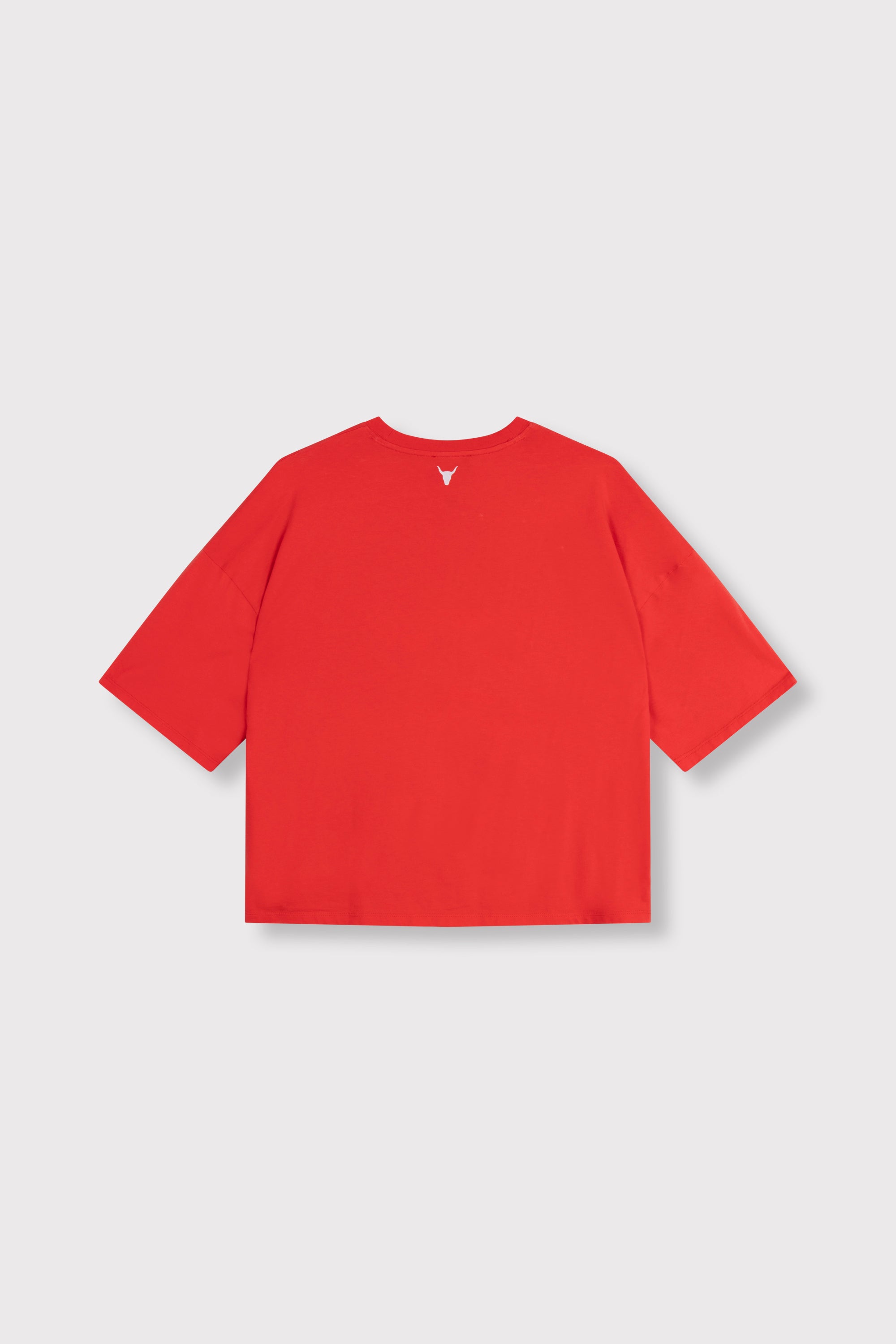 Big ALIX ALIX t-shirt | spicy coral