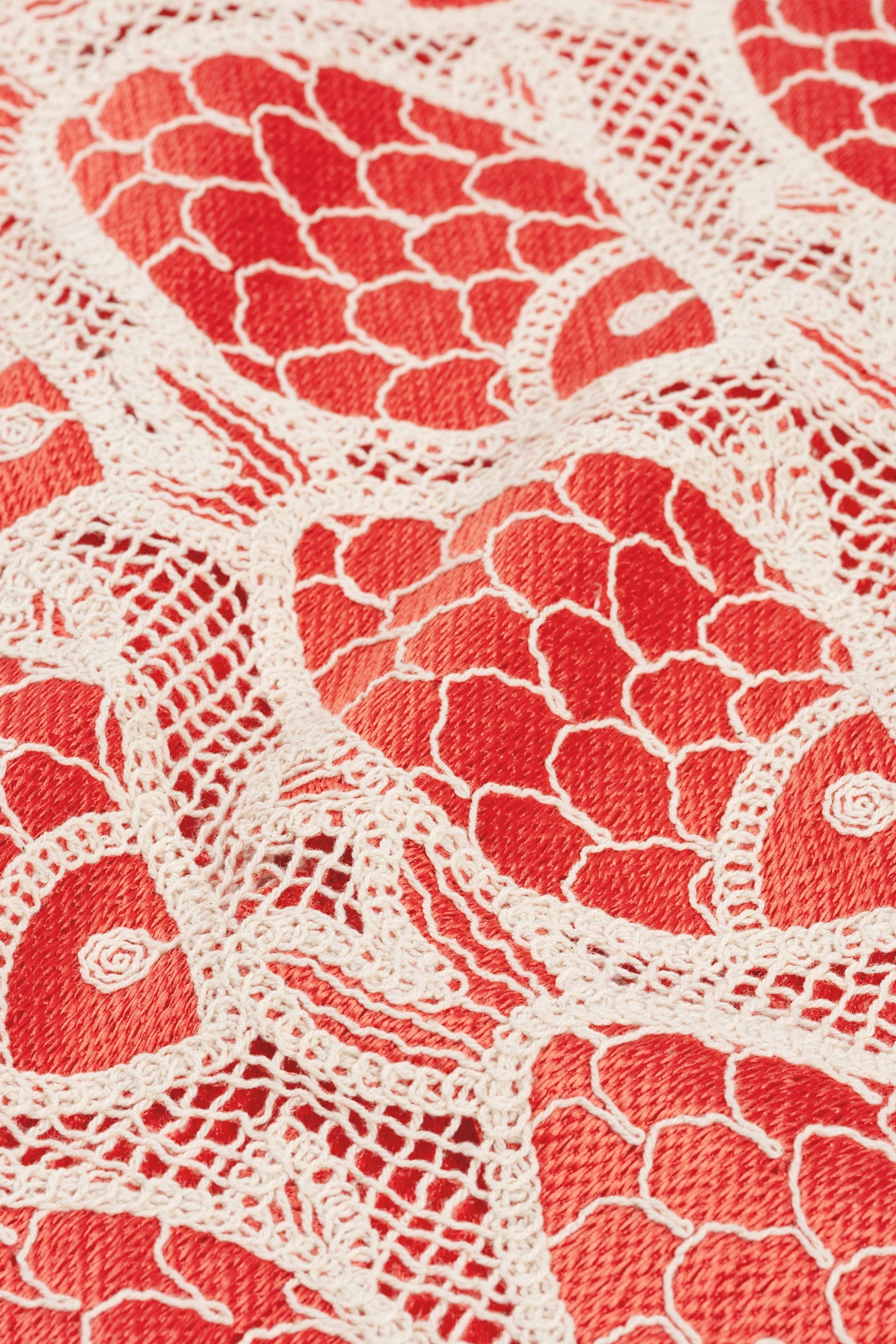 Muca top | Tangerine tango
