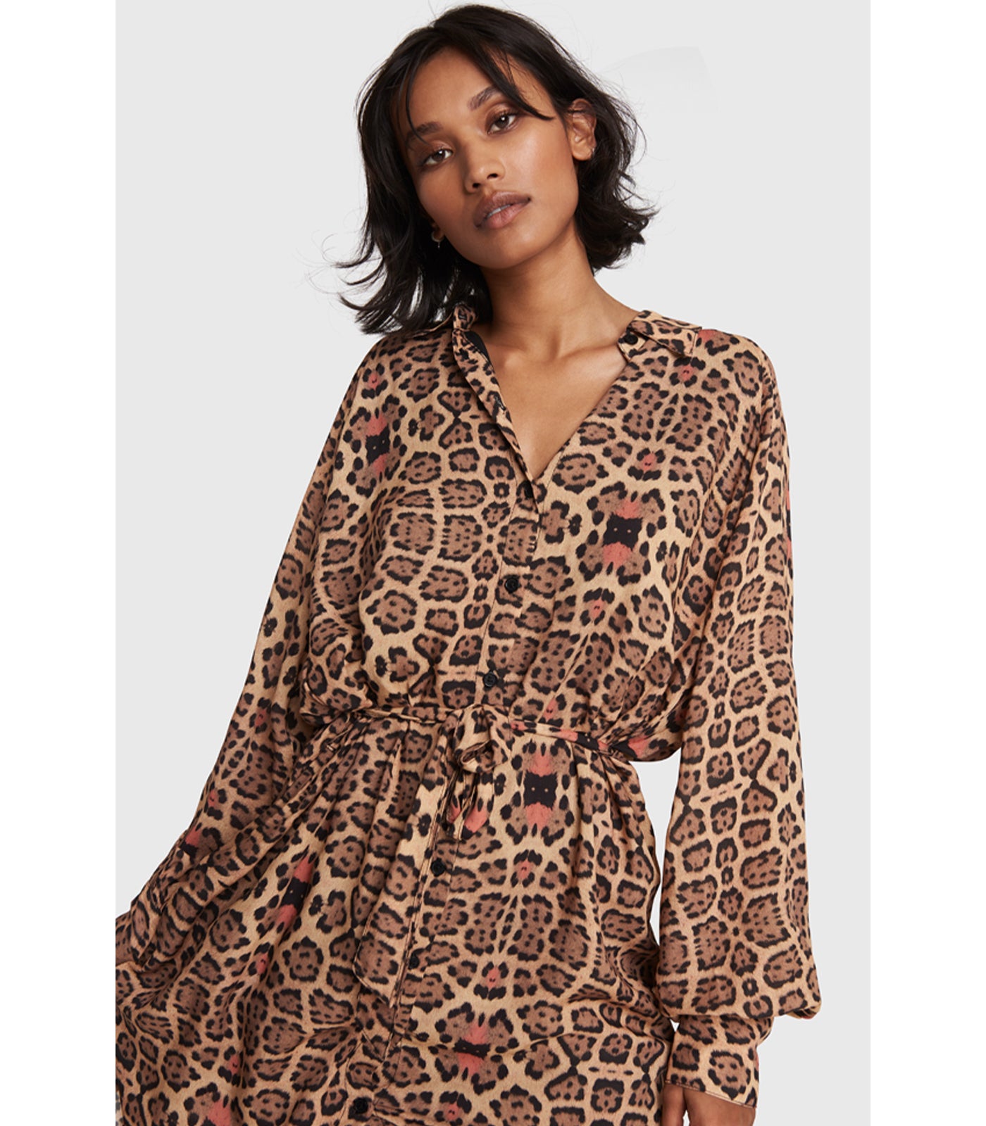 Alix on sale leopard dress