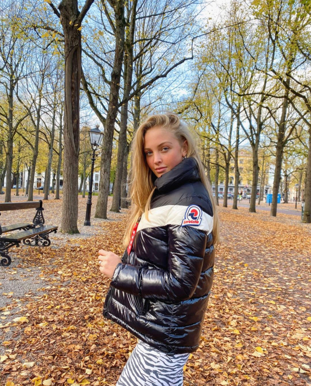 Puffer Jacket And Shorts Everest Short Hooded Puffer Jacket By