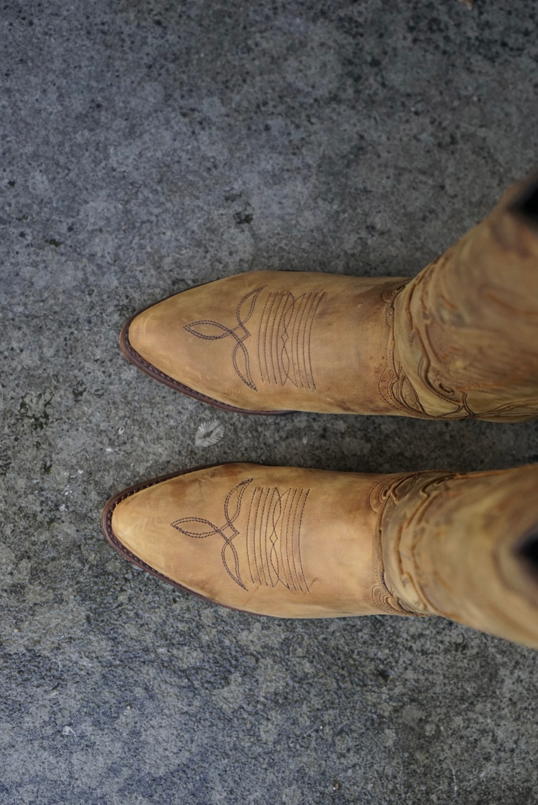 Yankee cowboy boots high - brown
